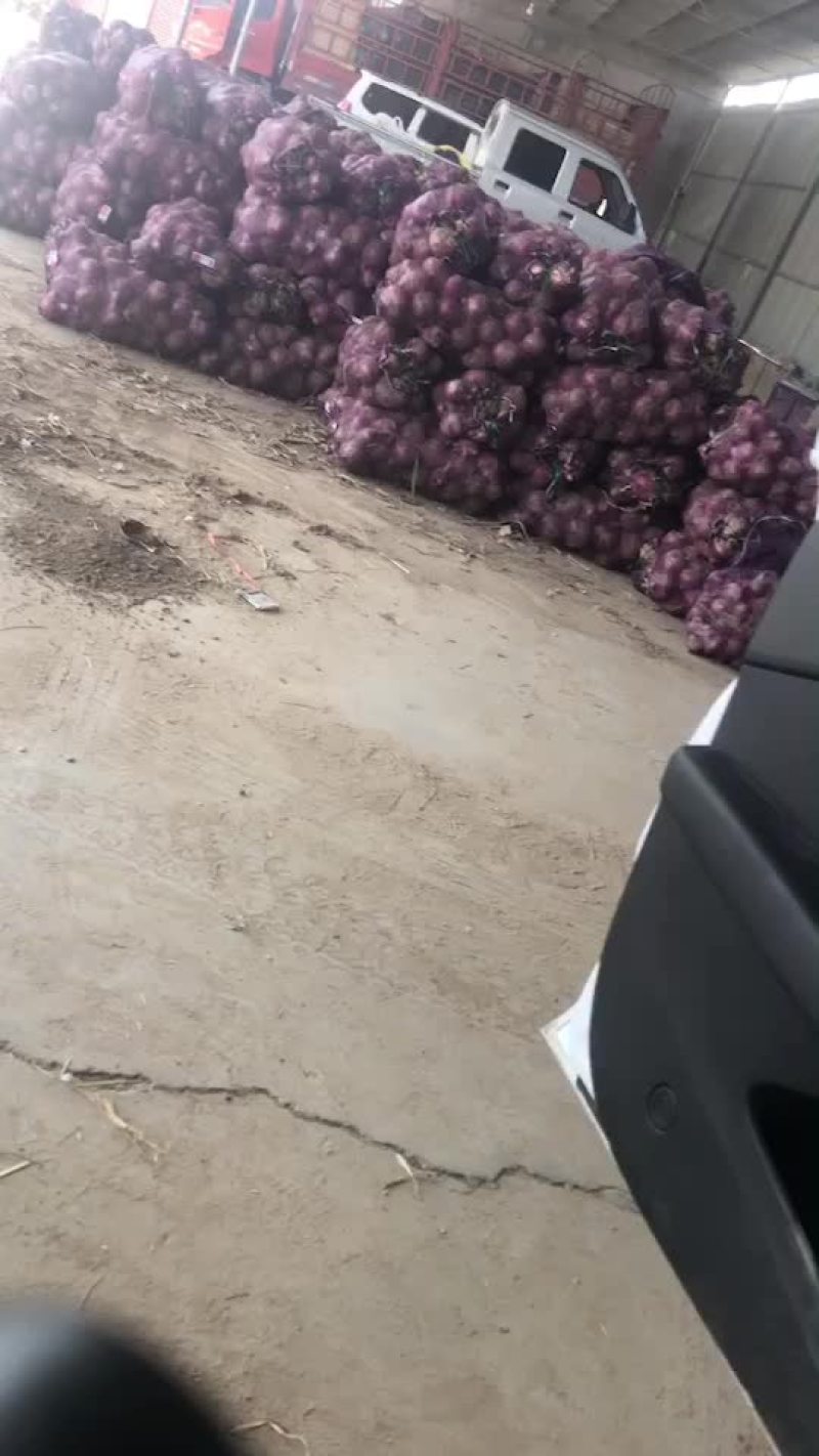 鲜货洋葱大量有货，需要的赶紧，好货不多