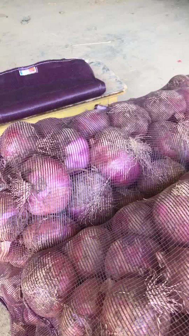 鲜货洋葱大量有货，需要的赶紧，好货不多