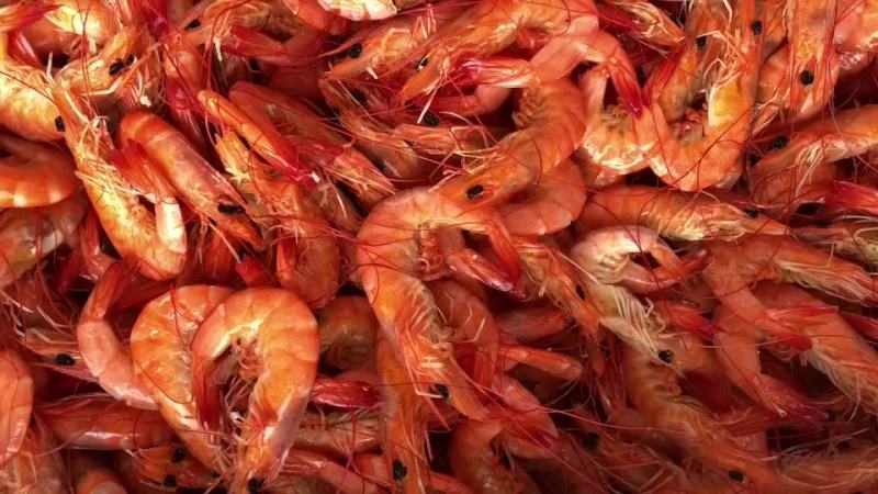 半干熟海虾