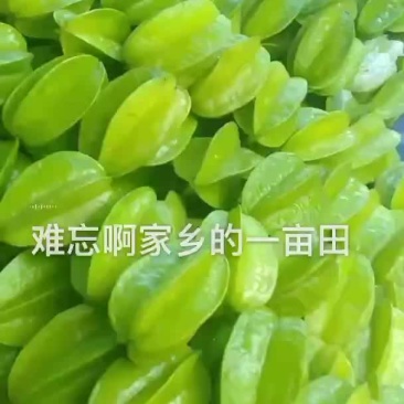 增城杨桃清甜爽口