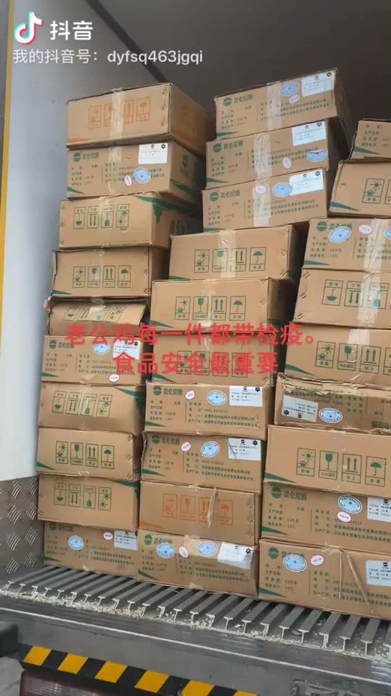 尼雅黑鸡