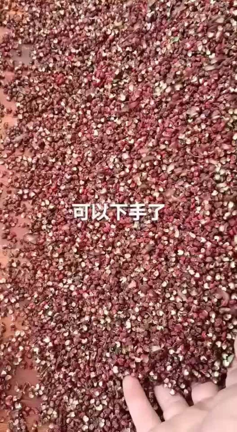 汉源娃娃花椒，又名贡椒。