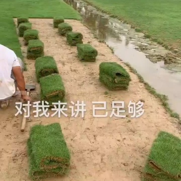 草皮