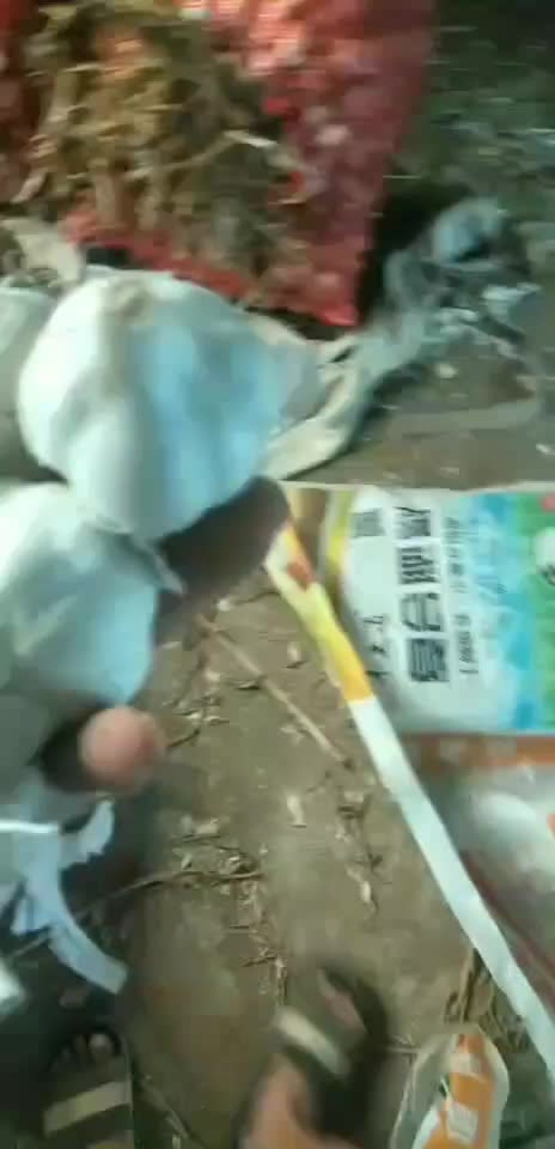 大蒜