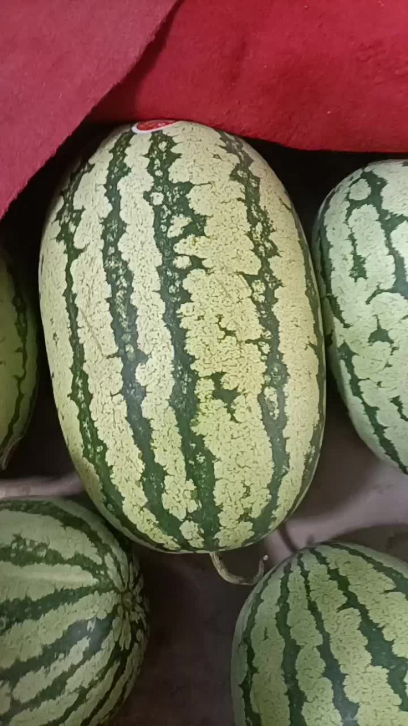 西瓜好瓜口感口感不错