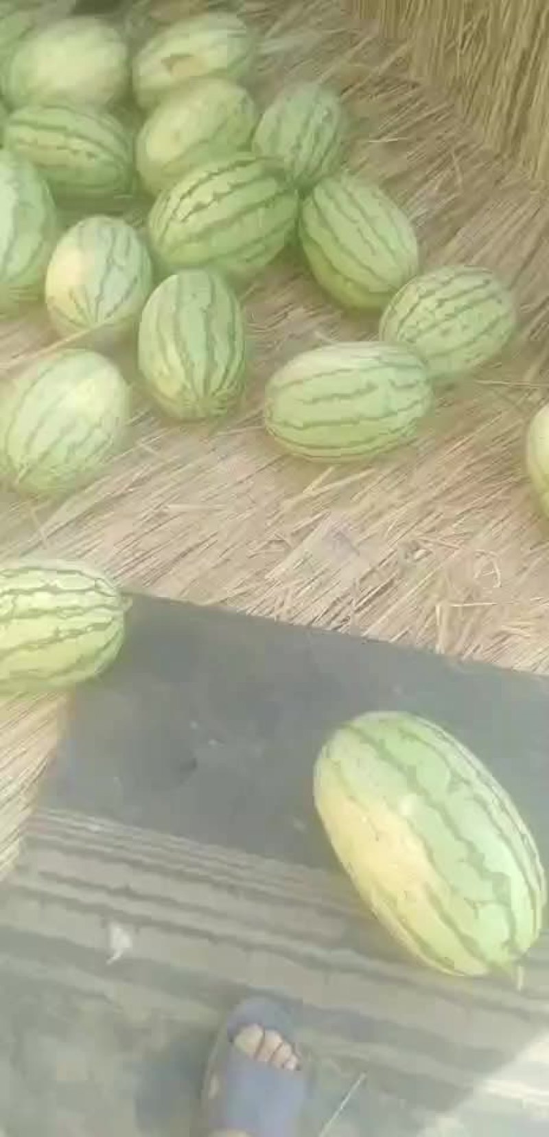 西瓜