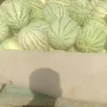 西瓜