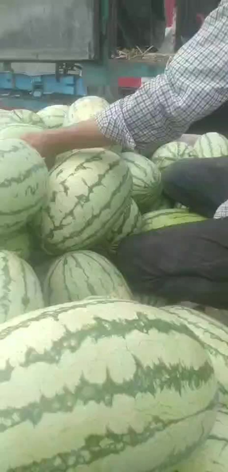 西瓜