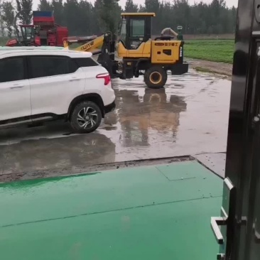 牛羊草料