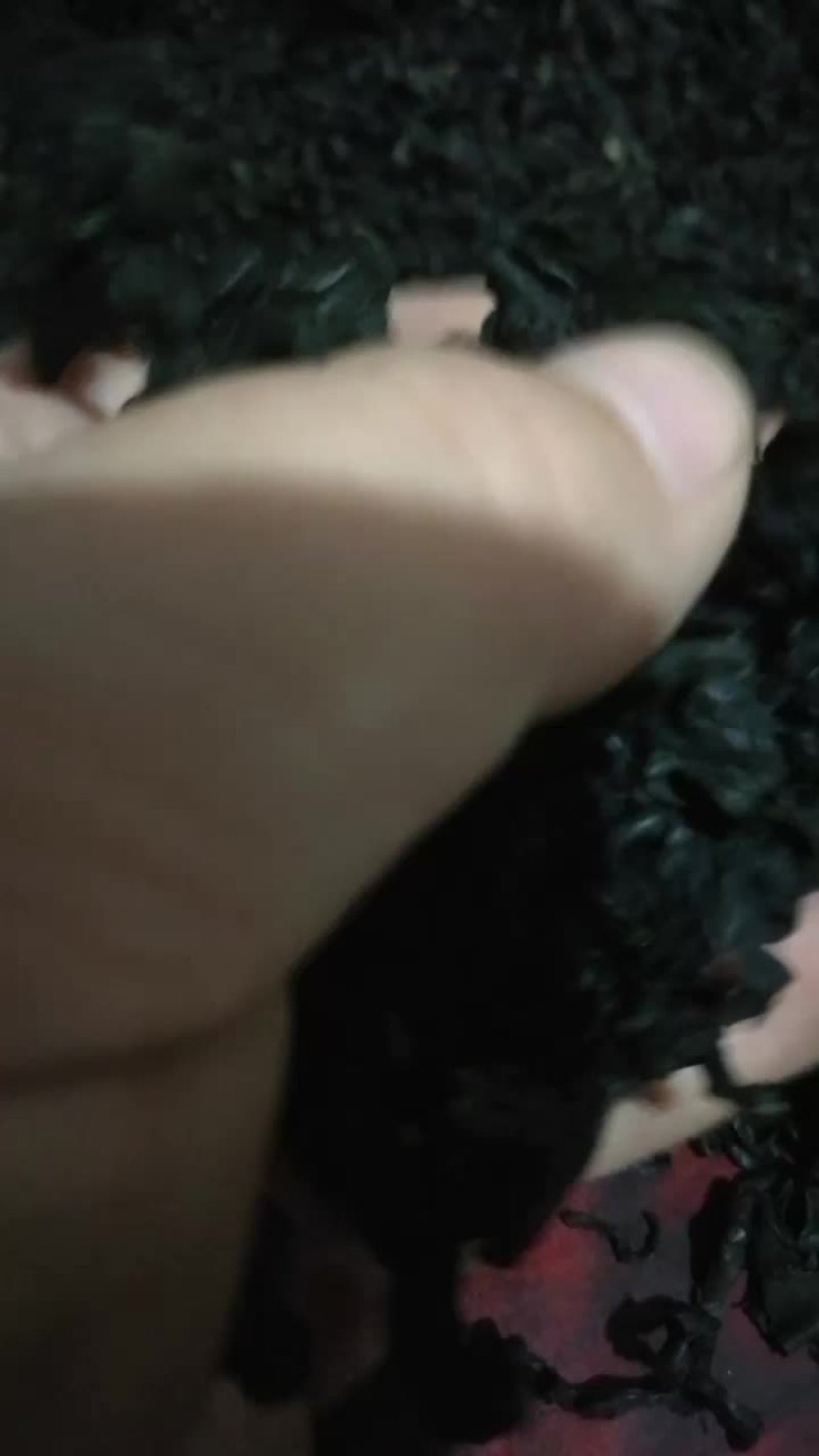 L号裙带菜厂家一斤可以泡发18倍