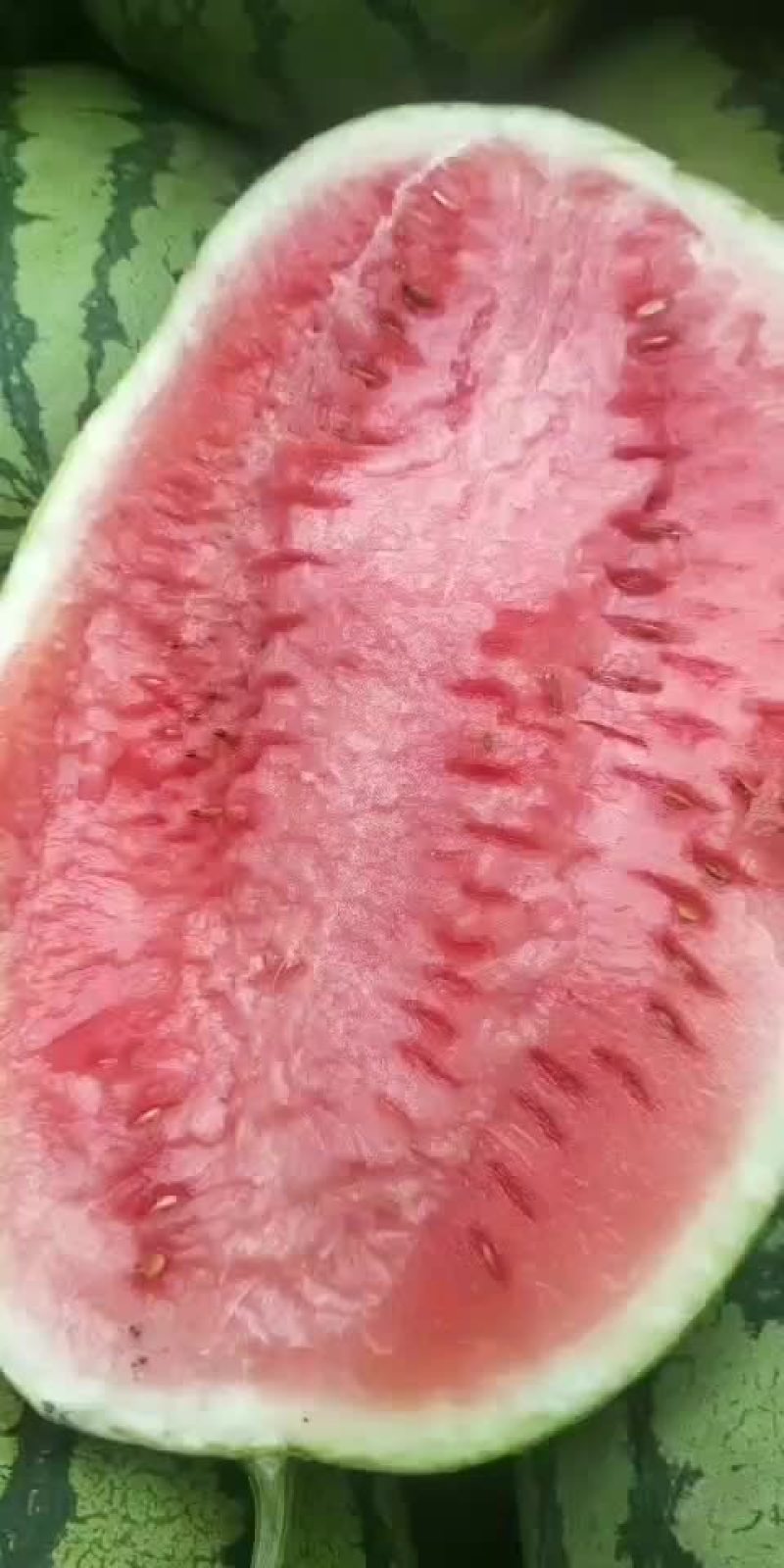西瓜