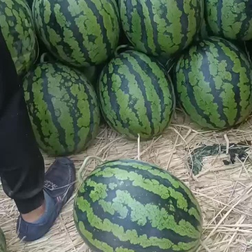 精品甜王