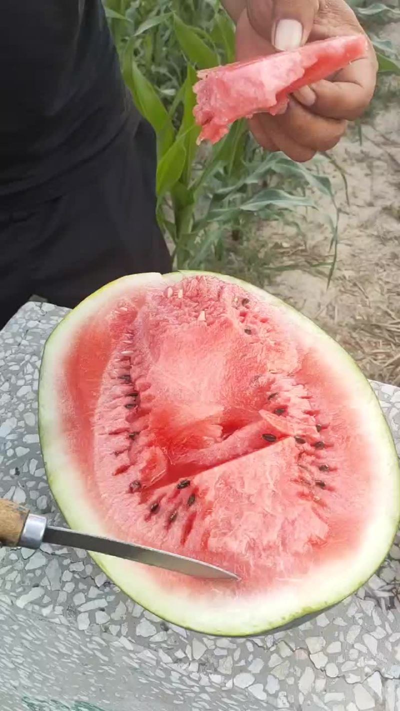 西瓜