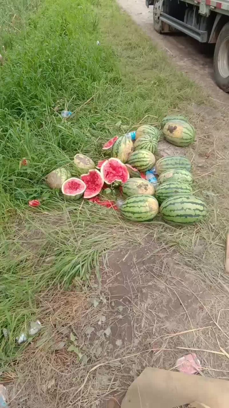 西瓜