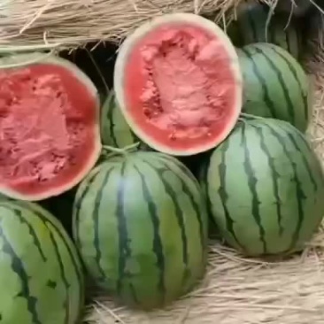 地雷西瓜