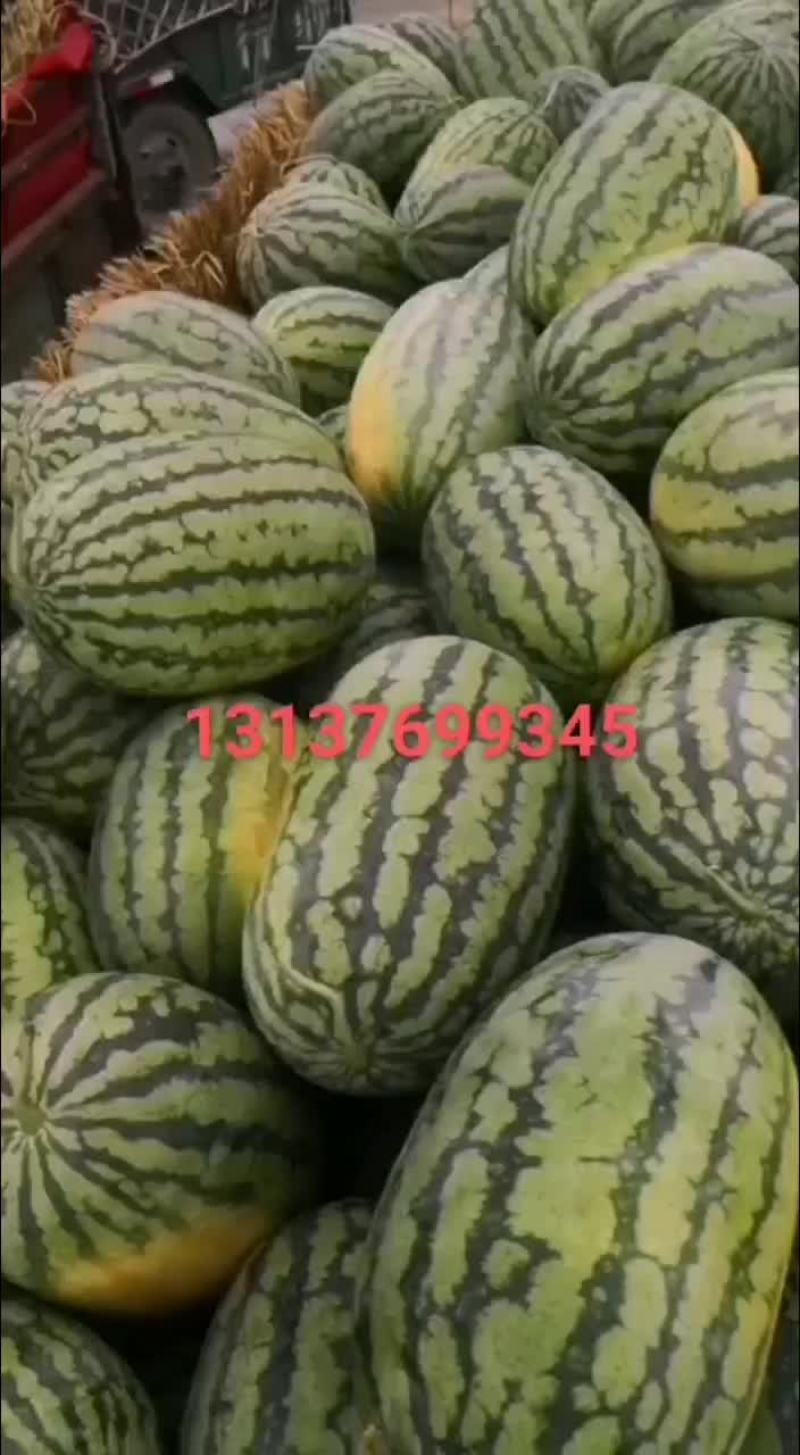 长花瓜大量市中