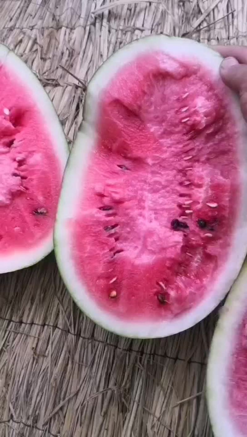 长花瓜大量市中