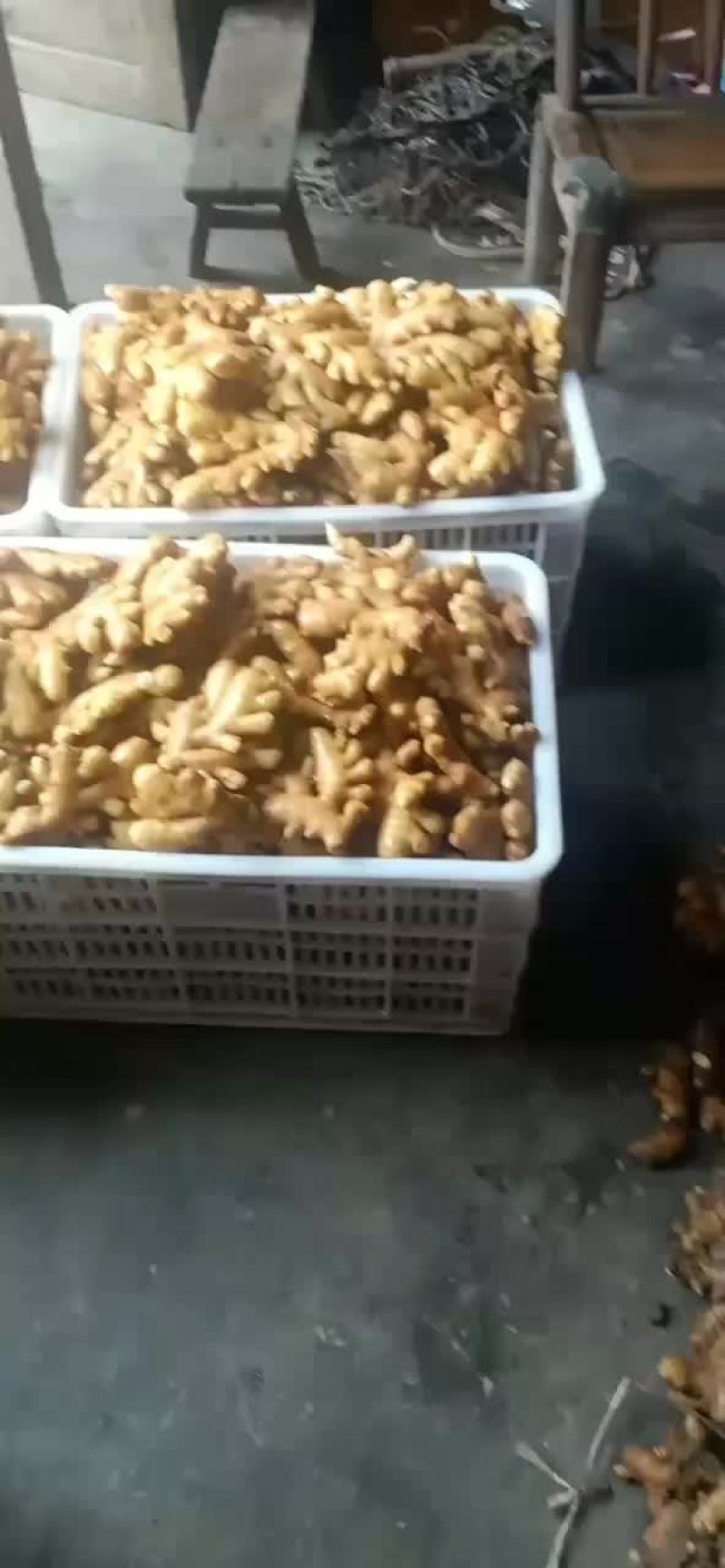 小黄姜世界硒都富硒小黄姜硒11111111