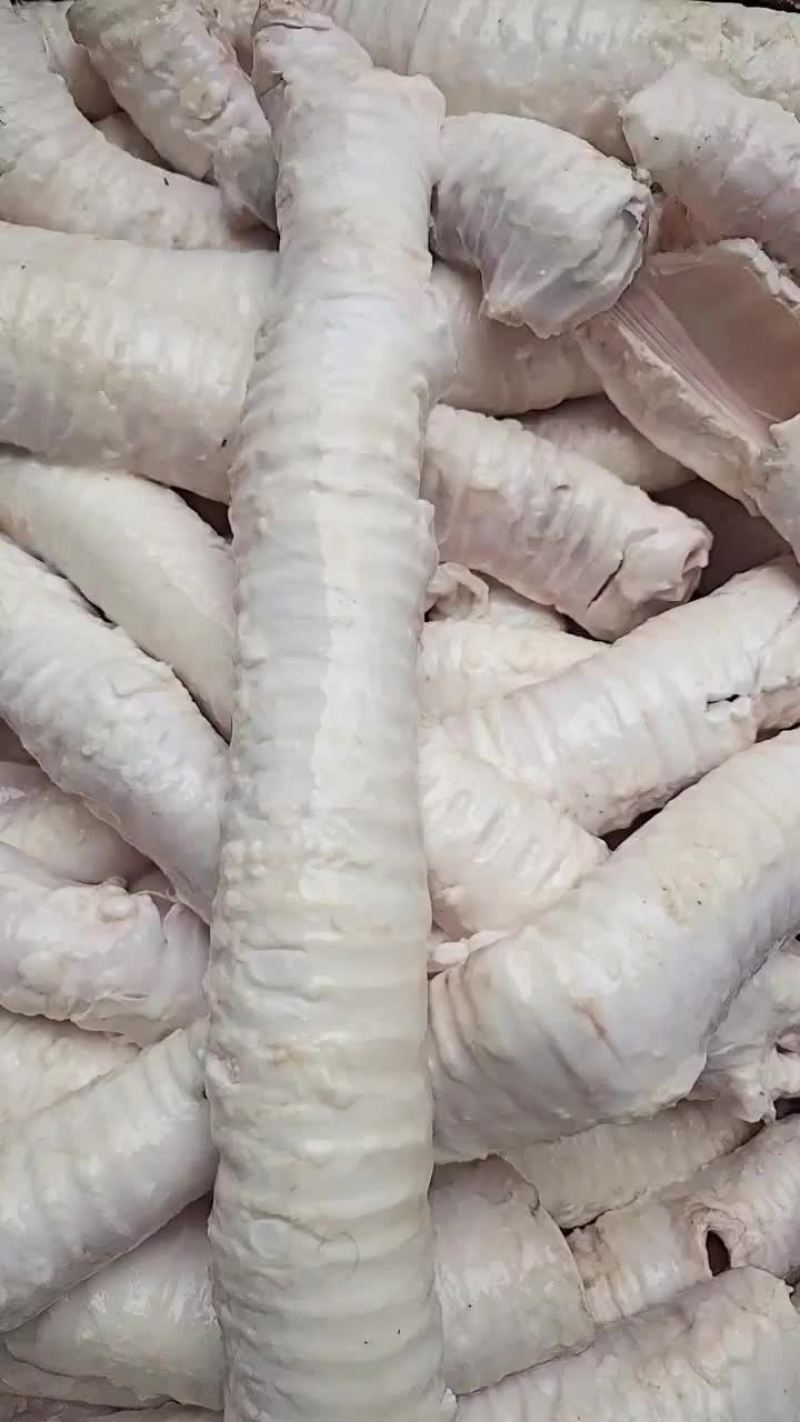牛肺管，精修无油牛肺管，常年大量加工