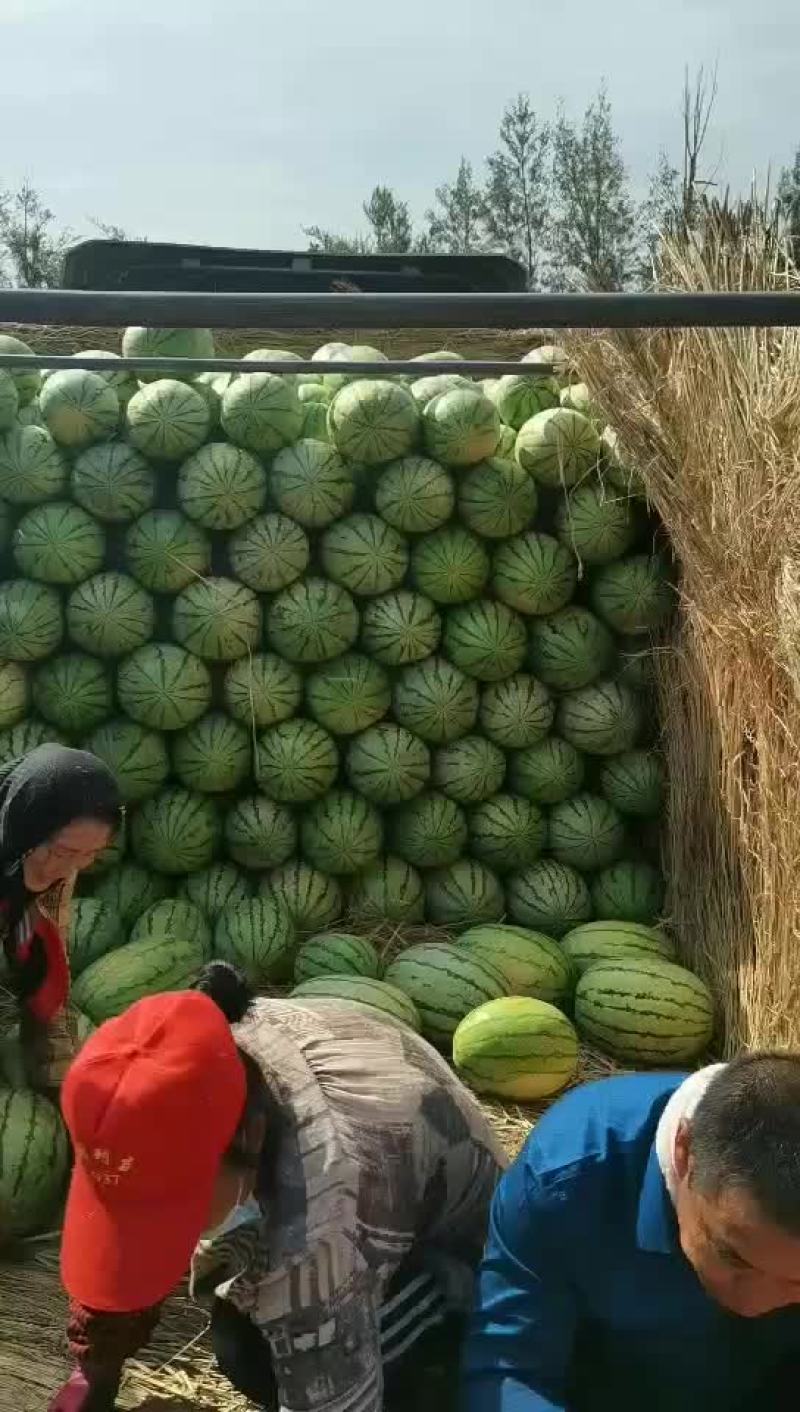 内蒙古巴彦淖尔市乌拉特前旗沙漠一号，绿爽金城五，实力代办