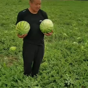 内蒙古巴彦淖尔市乌拉特前旗沙漠一号，绿爽金城五，实力代办