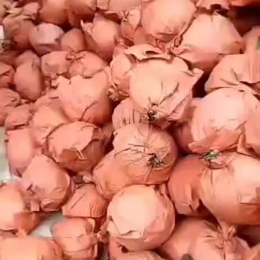 十年不遇的便宜