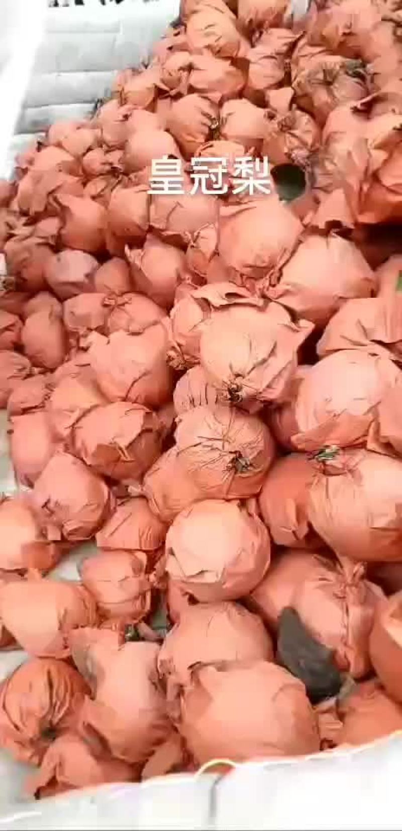 十年不遇的便宜