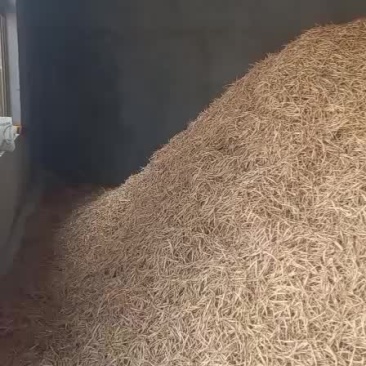宁夏优质纯手工绿色黄花菜