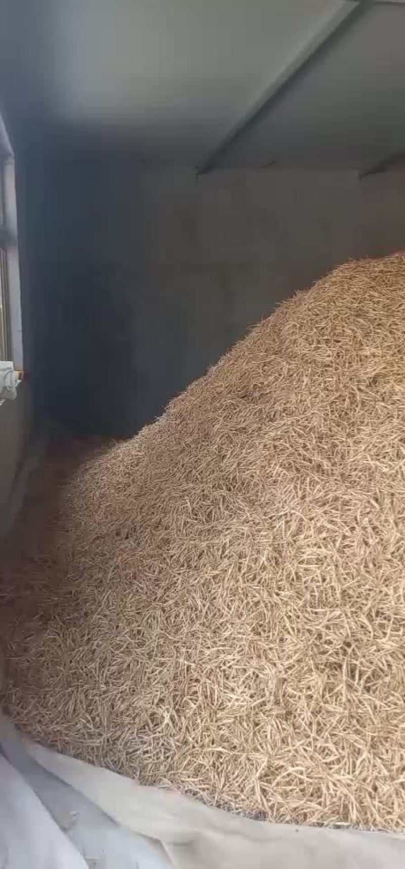 宁夏优质纯手工绿色黄花菜