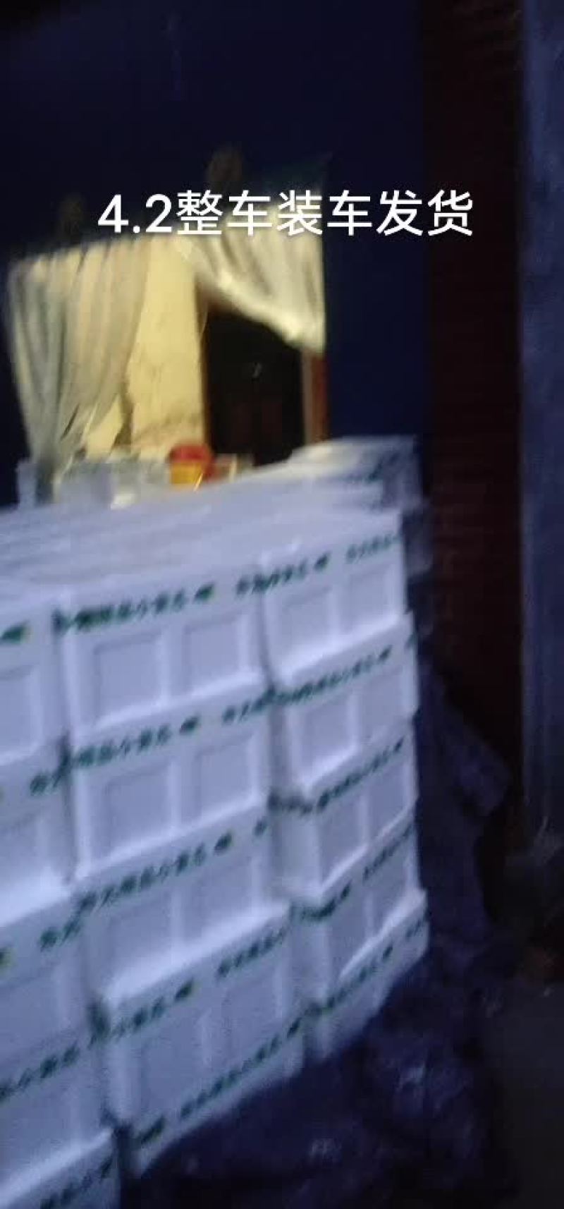 孝海文洋精品水果黄瓜基地，收货装车发货现场，可实地监考察