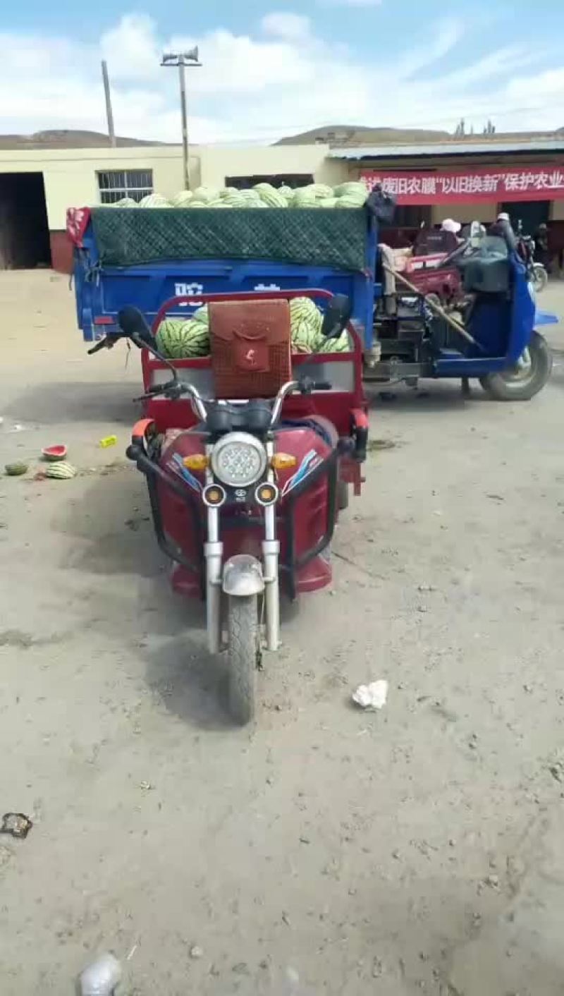 旱地硒砂瓜基地