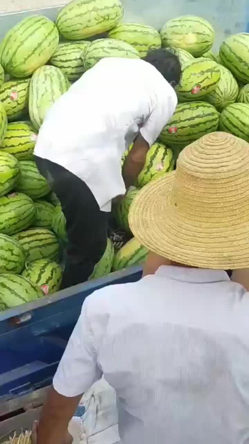旱地硒砂瓜基地