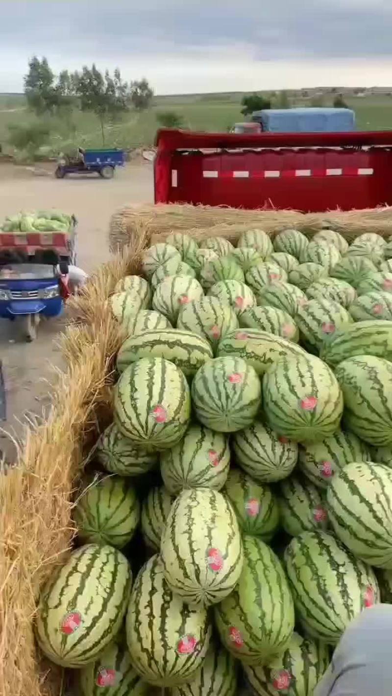旱地硒砂瓜基地