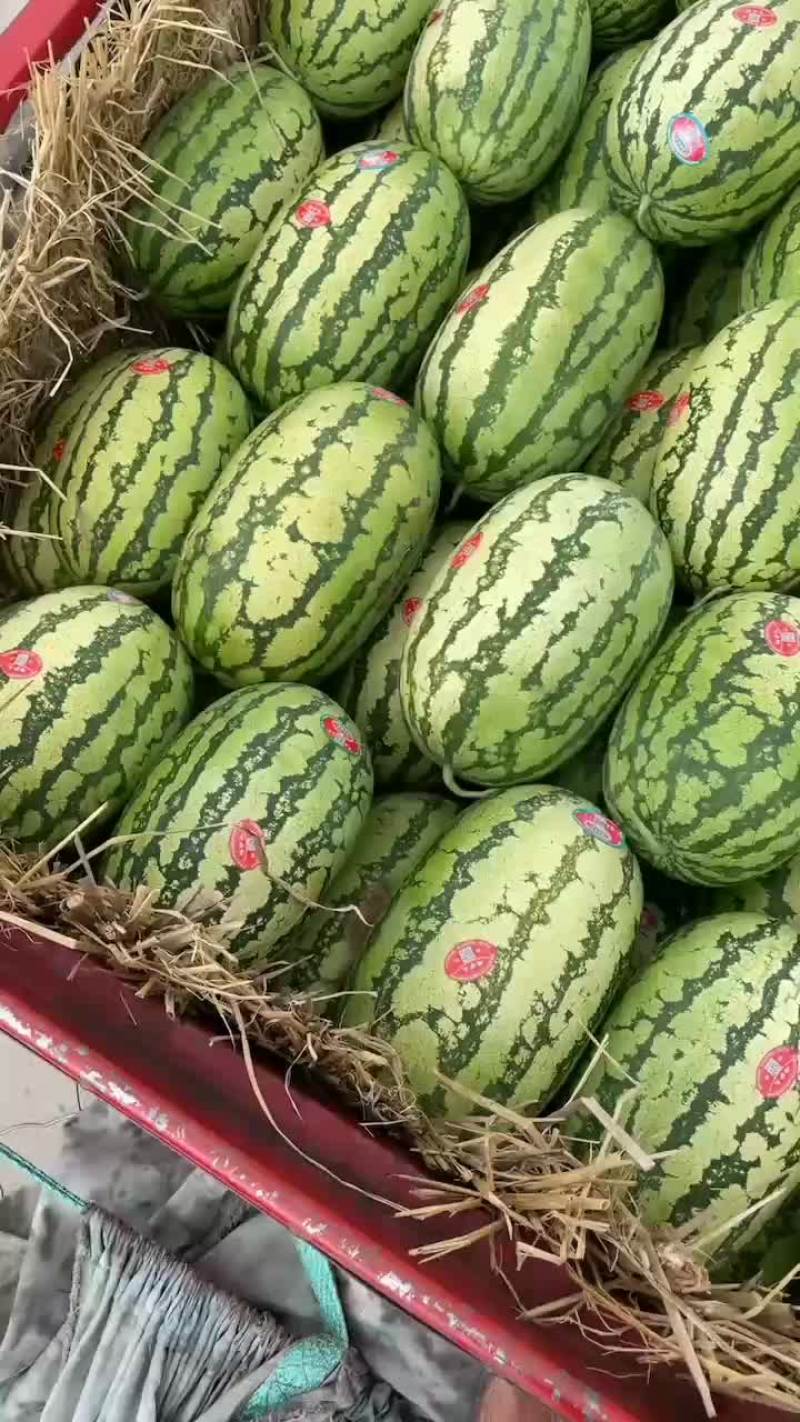 旱地硒砂瓜基地