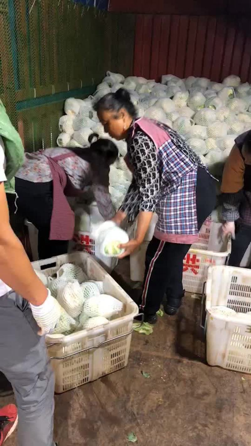 花菜