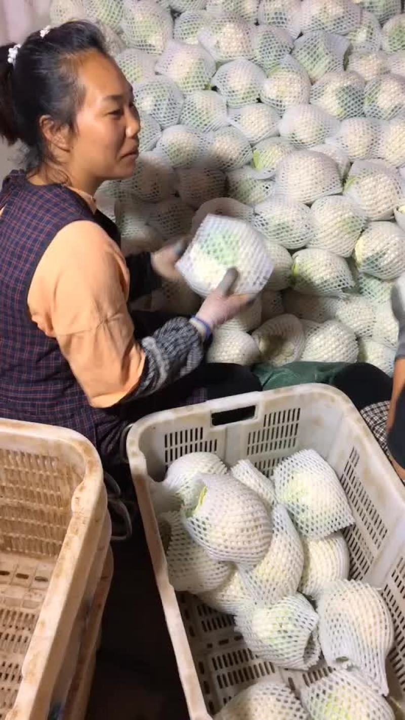 花菜