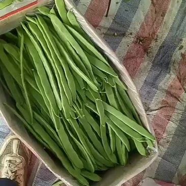 豆角