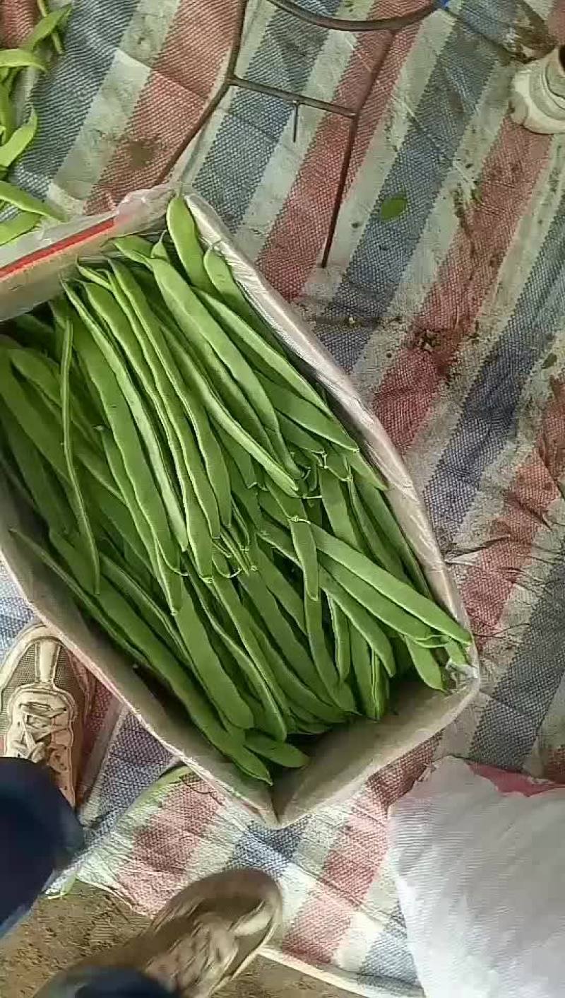 豆角