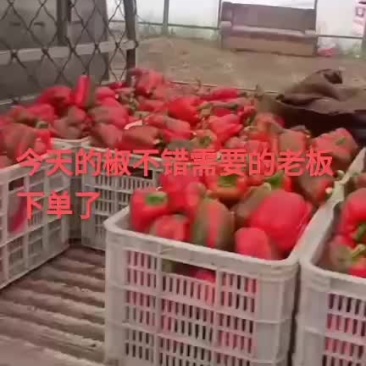 红黄彩椒