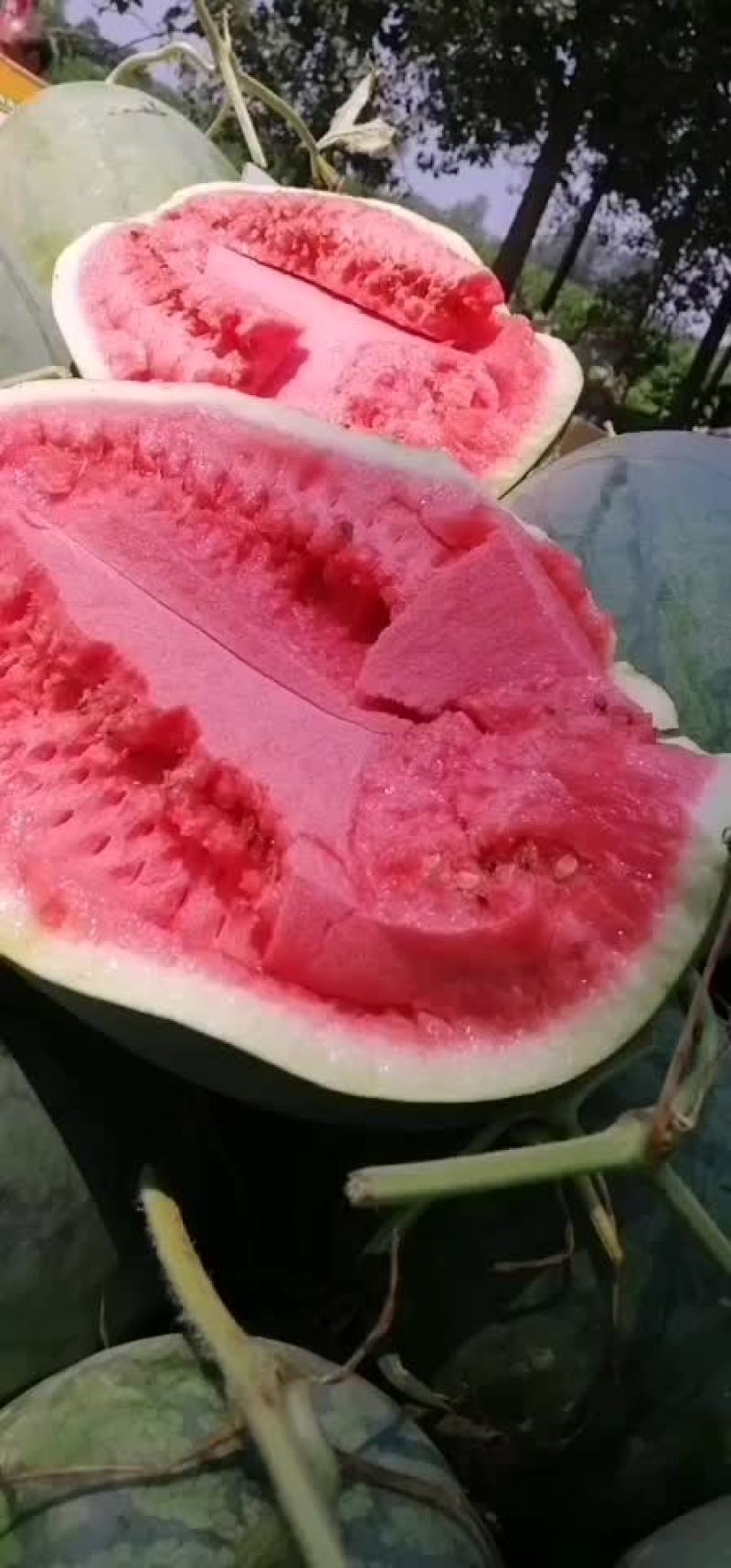 龙卷风