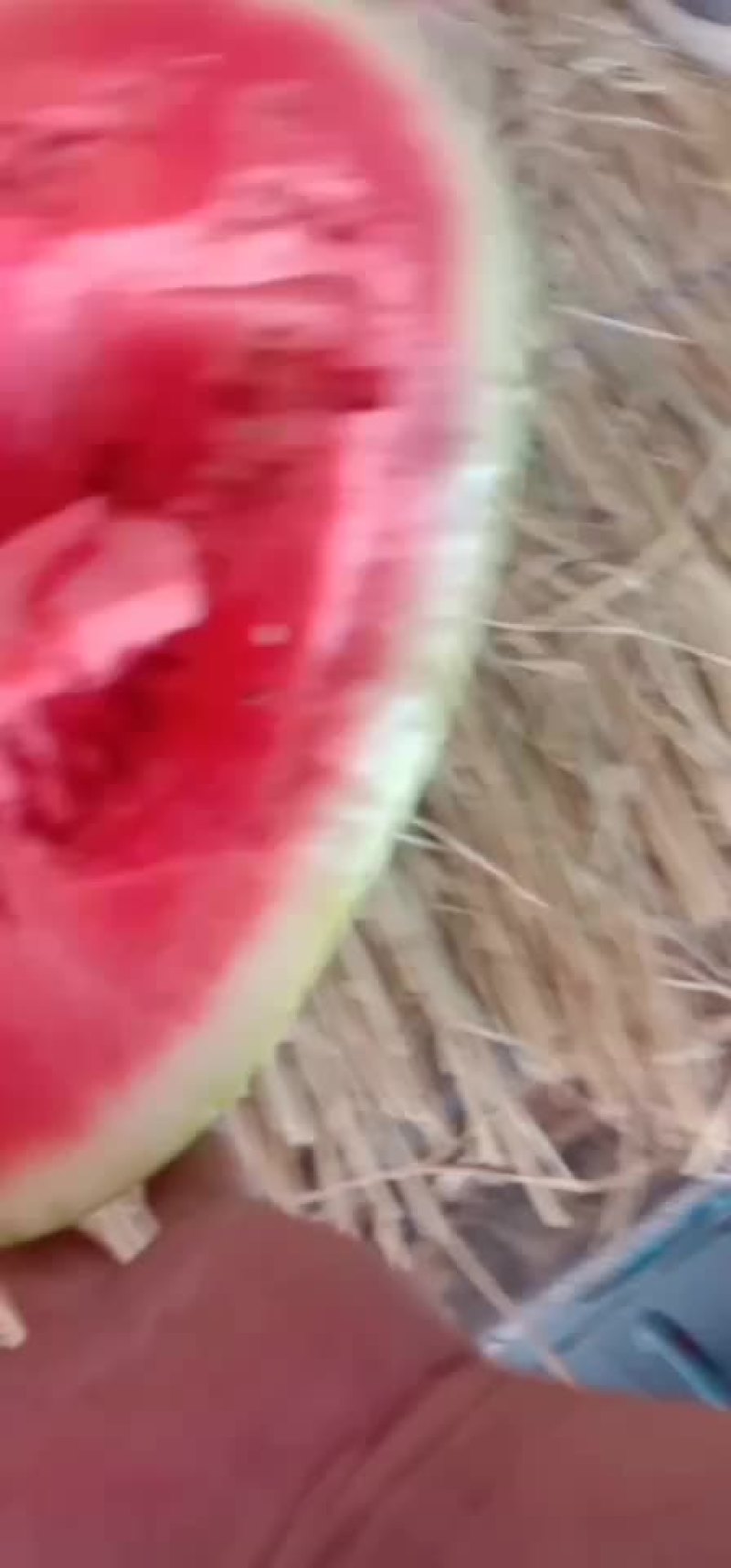 宁夏硒砂瓜