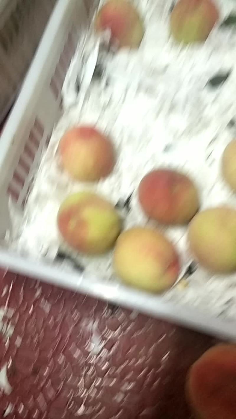 湖景水蜜桃