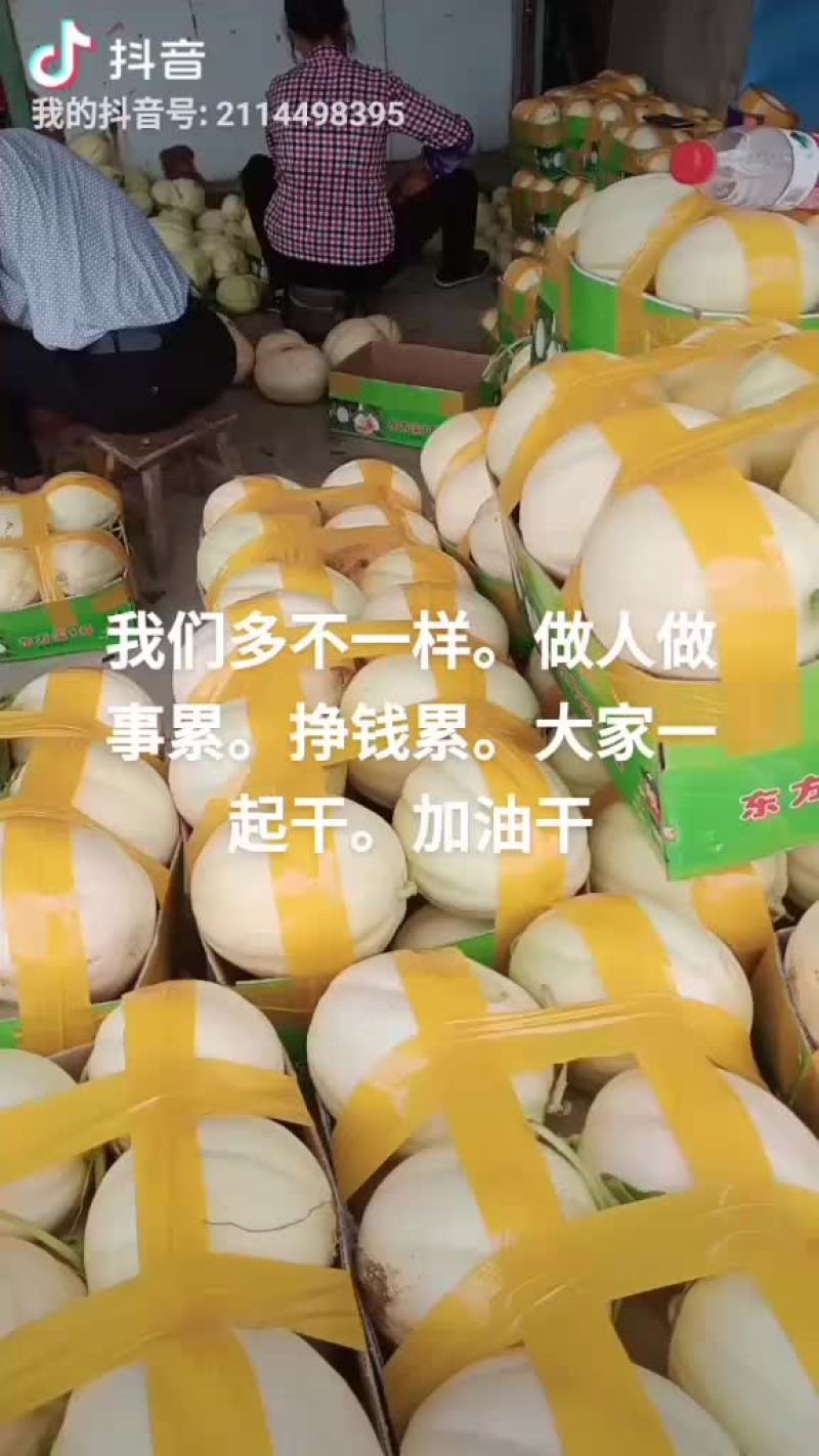 东方密大量有货。欢迎在一亩客户。来定购。诚信经营