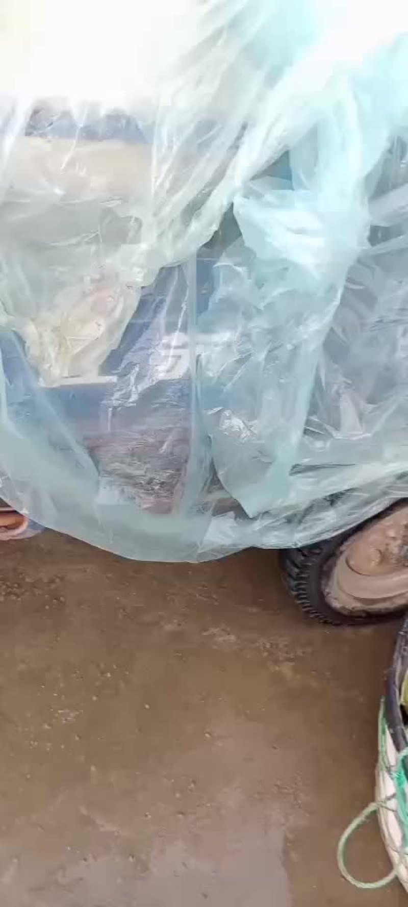 东方密大量有货。欢迎在一亩客户。来定购。诚信经营