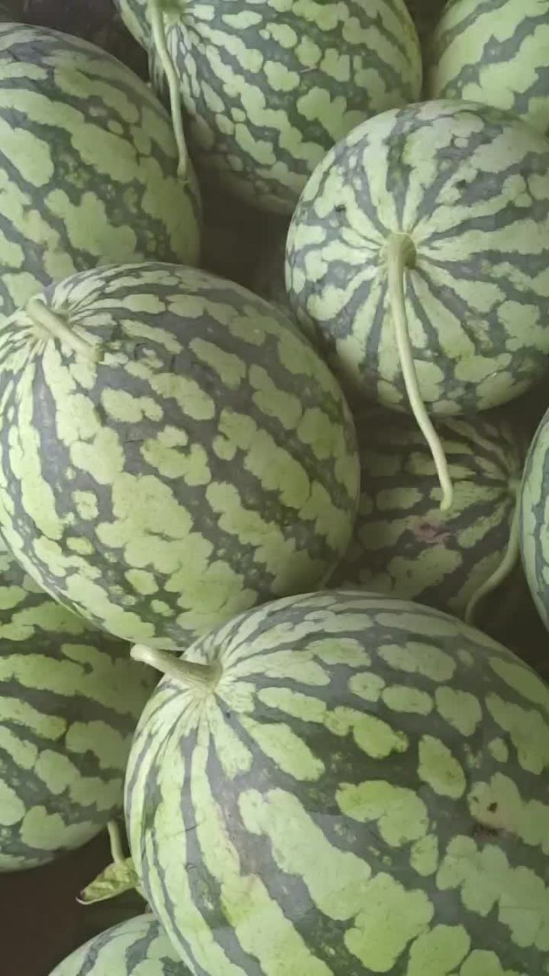 西瓜