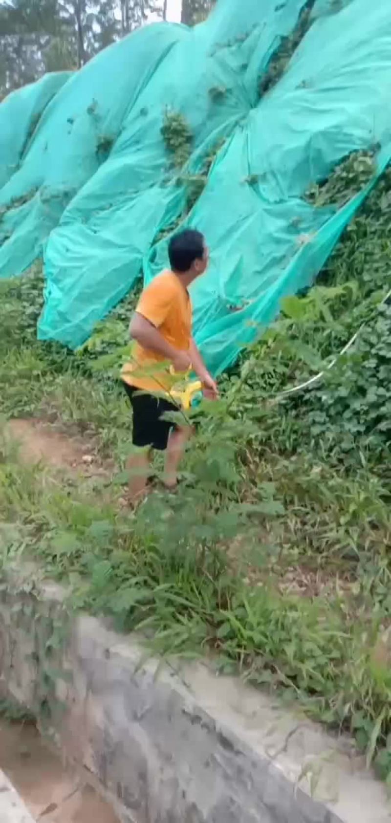 喷播绿化，矿山复绿工程，各种草皮，诚信合作，合作共赢66