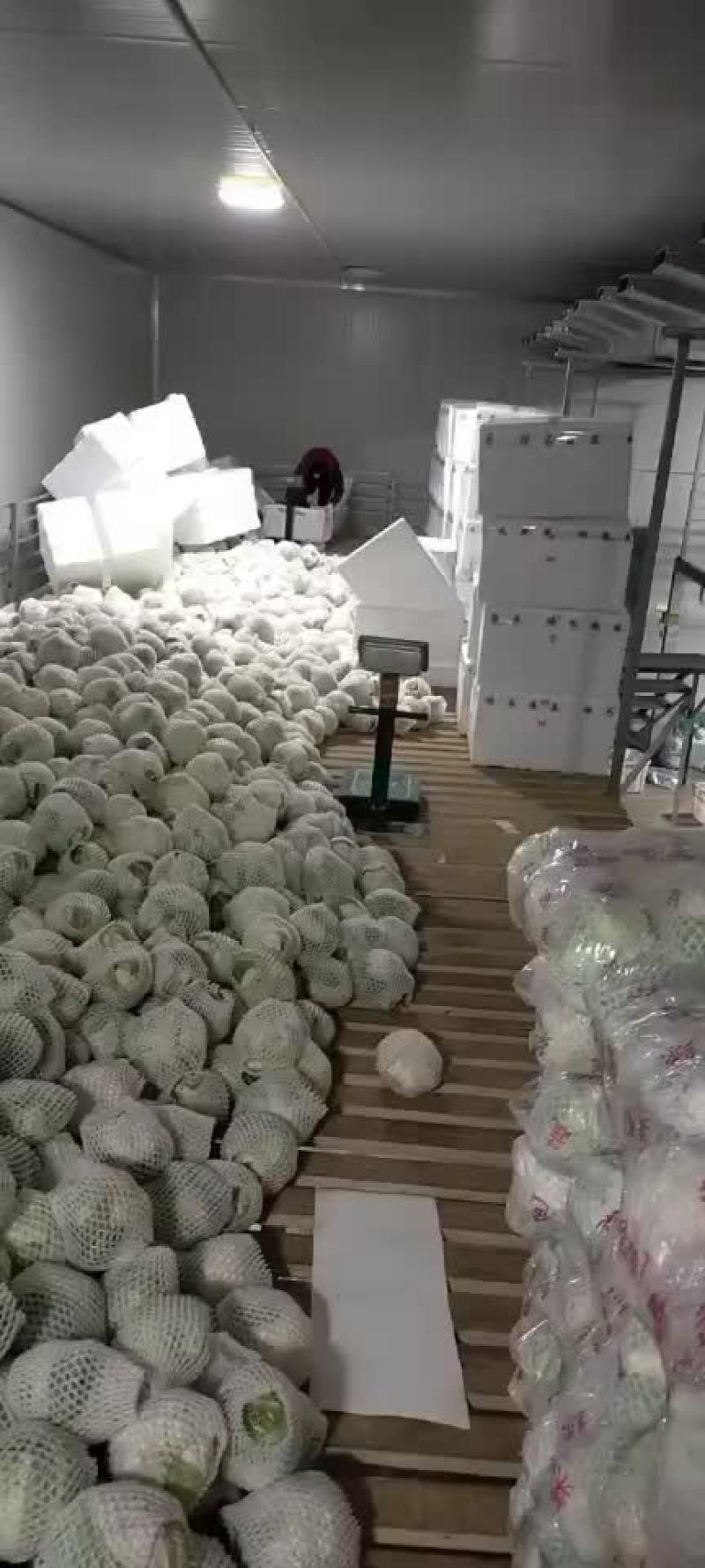 菜花