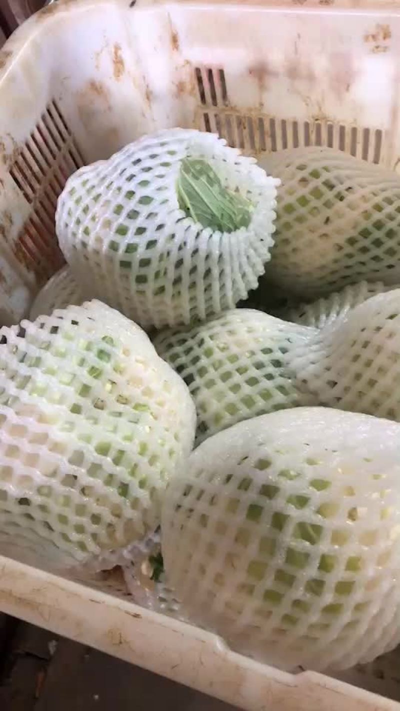菜花
