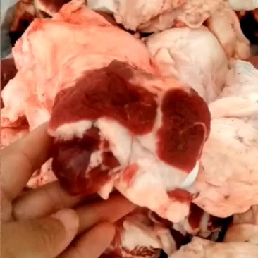 纯干国产牛窝骨，有筋有肉！