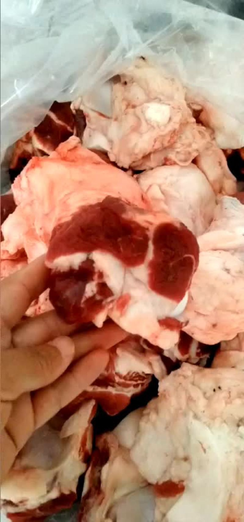 纯干国产牛窝骨，有筋有肉！